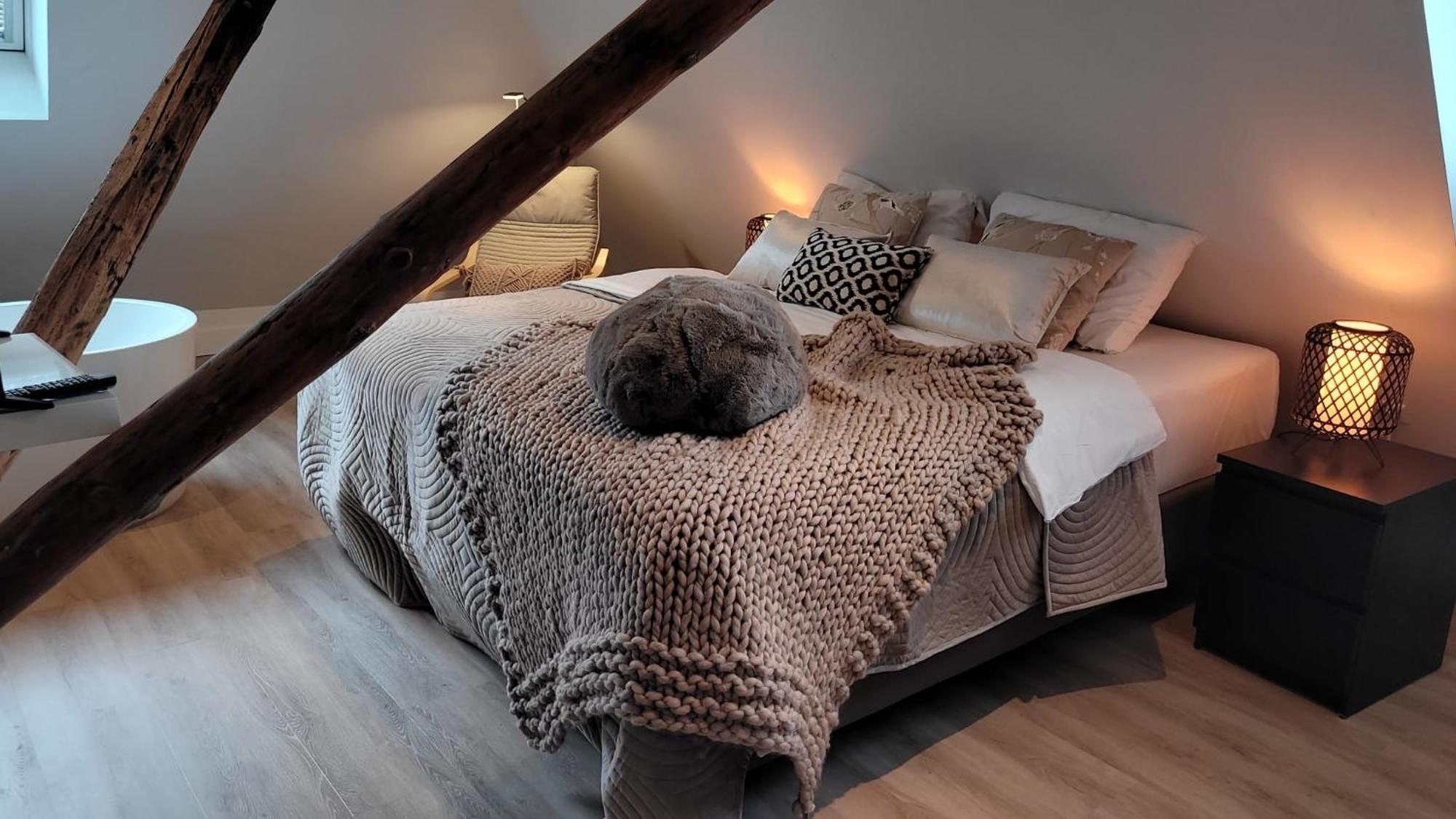 Dream Boutique Edam Bed & Coffee Lägenhet Exteriör bild